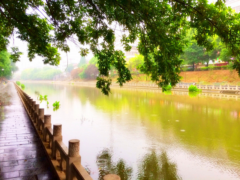 汪洲河風(fēng)景區(qū)網(wǎng)絡(luò)監(jiān)控系統(tǒng)方案設(shè)計(jì)
