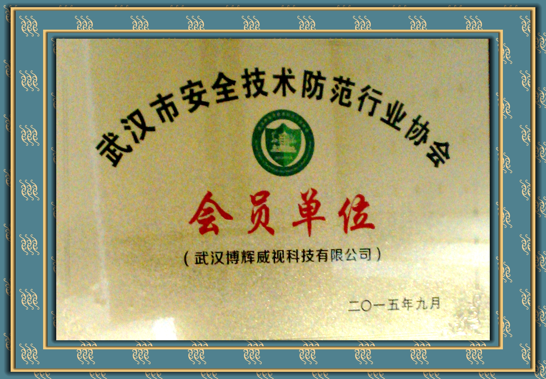 博輝威視武漢安全技術(shù)防范協(xié)會(huì)會(huì)員單位